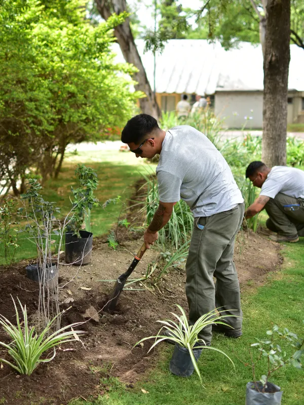 Ecoservice, mantenimiento de espacios verdes Córdoba - home (1)