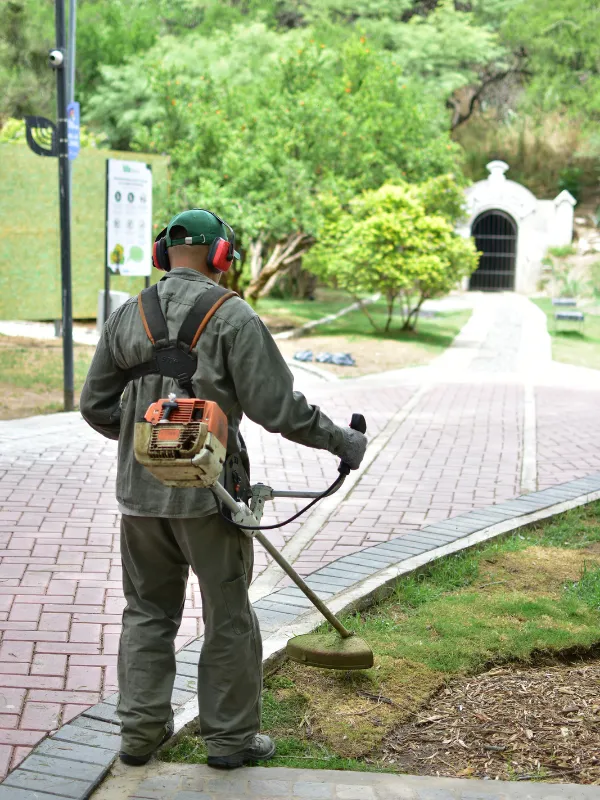 Ecoservice, mantenimiento de espacios verdes Córdoba - home (2)