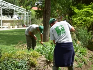 Ecoservice mantenimiento de espacios verdes certificacion de empresas B 1
