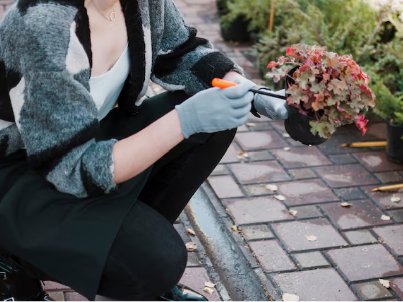 Ecoservice mantenimiento de espacios verdes ingenieria ambiental preparar el jardin para invierno 1