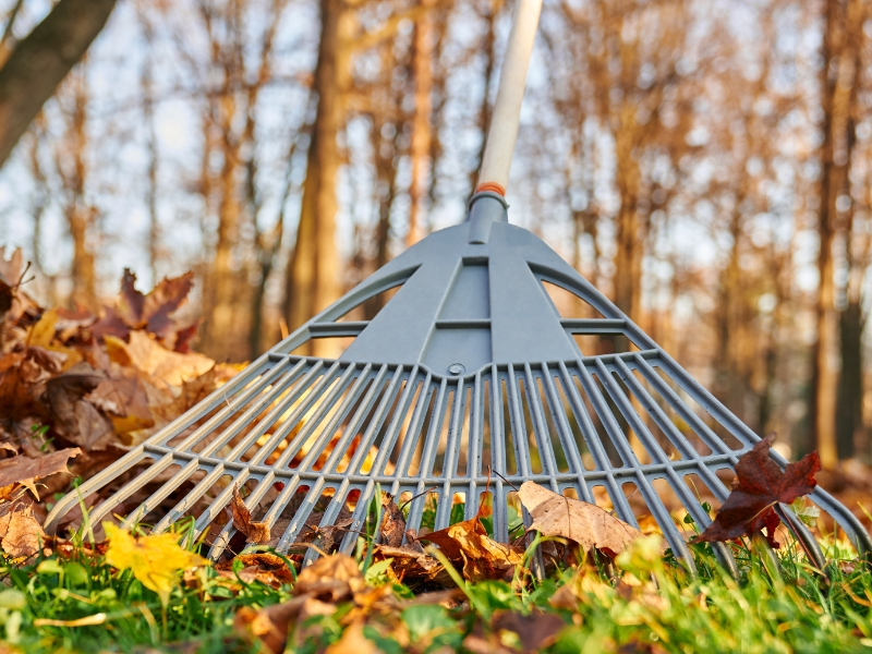 Ecoservice mantenimiento de espacios verdes ingenieria ambiental preparar el jardin para invierno 4