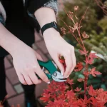 Ecoservice mantenimiento de espacios verdes ingenieria ambiental preparar el jardin para invierno 5