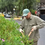 Ecoservice mantenimiento de espacios verdes cuidado de areas verdes ingenieria ambiental cordoba 1