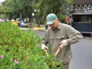 Ecoservice mantenimiento de espacios verdes cuidado de areas verdes ingenieria ambiental cordoba 1