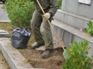Ecoservice - mantenimiento de espacios verdes - cuidado de áreas verdes - ingenieria ambiental - cordoba (3)