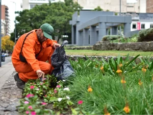 Ecoservice - mantenimiento de espacios verdes - cuidado de áreas verdes - ingenieria ambiental - cordoba (4)