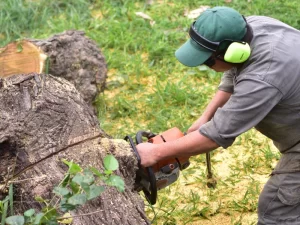Ecoservice - mantenimiento de espacios verdes - cuidado de áreas verdes - ingenieria ambiental - cordoba (6)