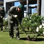 Ecoservice mantenimiento y desarrollo de espacios verdes ingenieria ambiental clubes empresas barrios privados cordoba 1