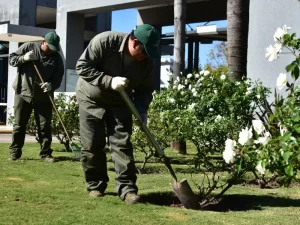 Ecoservice mantenimiento y desarrollo de espacios verdes ingenieria ambiental clubes empresas barrios privados cordoba 1