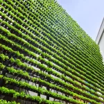 Ecoservice mantenimiento de espacios verdes techos verdes jardines verticales cordoba 1