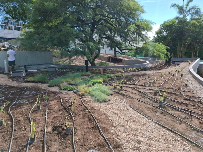 Ecoservice - mantenimiento de espacios verdes - techos verdes - jardines verticales - cordoba (4)