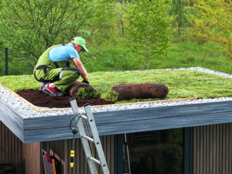 Ecoservice - mantenimiento de espacios verdes - techos verdes - jardines verticales - cordoba (5)