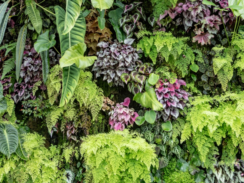 Ecoservice - mantenimiento de espacios verdes - techos verdes - jardines verticales - cordoba (6)