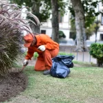 Ecoservice mantenimiento de espacios verdes ingenieria ambiental cordoba 1
