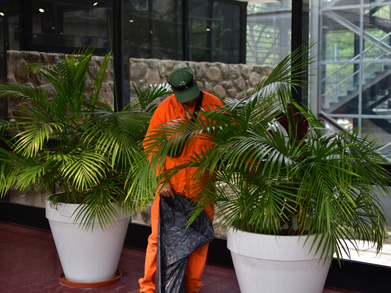 Ecoservice - mantenimiento de espacios verdes - ingenieria ambiental - cordoba (2)