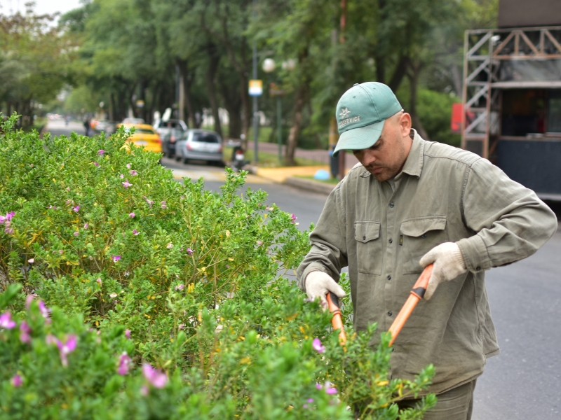 Ecoservice - mantenimiento de espacios verdes - ingenieria ambiental - cordoba (3)