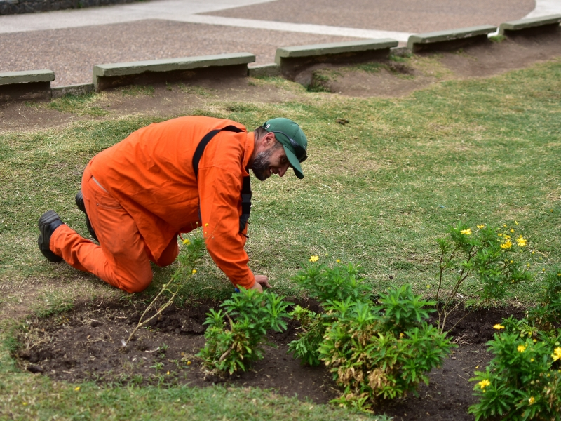 Ecoservice - mantenimiento de espacios verdes - ingenieria ambiental - cordoba (5)