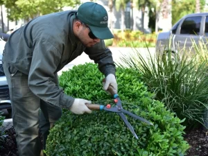 Ecoservice mantenimiento de espacios verdes primavera verano 1