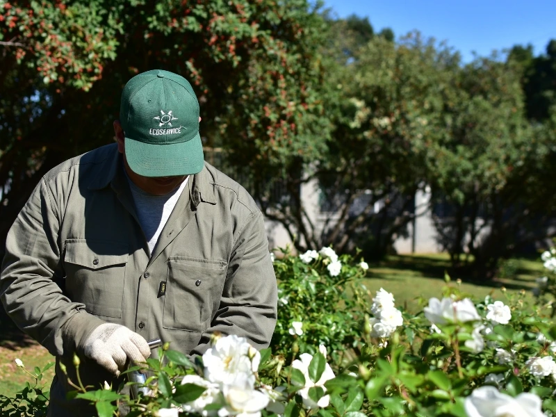 Ecoservice - mantenimiento de espacios verdes - primavera - verano (2)