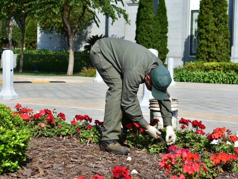 Ecoservice - mantenimiento de espacios verdes - primavera - verano (3)