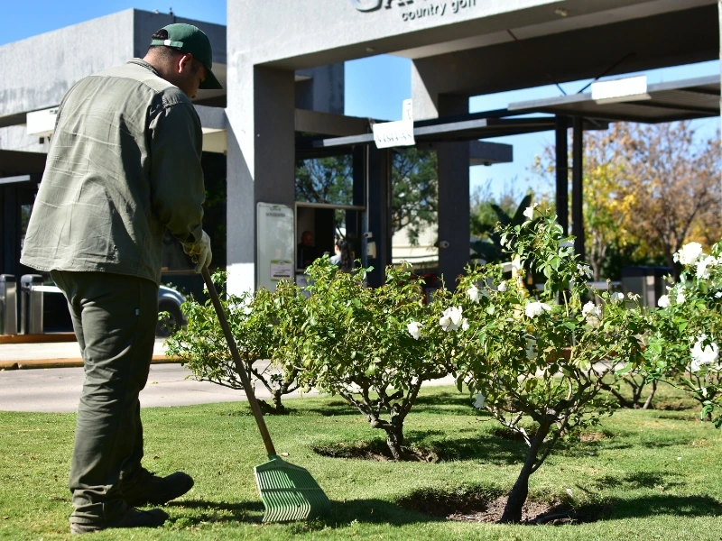 Ecoservice - mantenimiento de espacios verdes - primavera - verano (5)