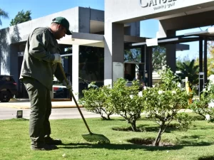 Ecoservice mantenimiento de espacios verdes economia circular 1