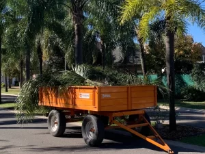 Ecoservice mantenimiento de espacios verdes poda en altura 1