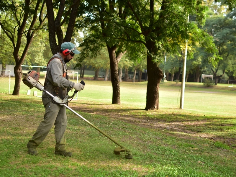 Ecoservice - mantenimiento de espacios verdes - poda en altura (2)