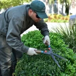 Ecoservice mantenimiento de espacios verdes tendencias 2026 1