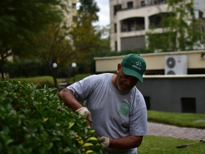 Ecoservice - mantenimiento de espacios verdes - tendencias 2026 (2)