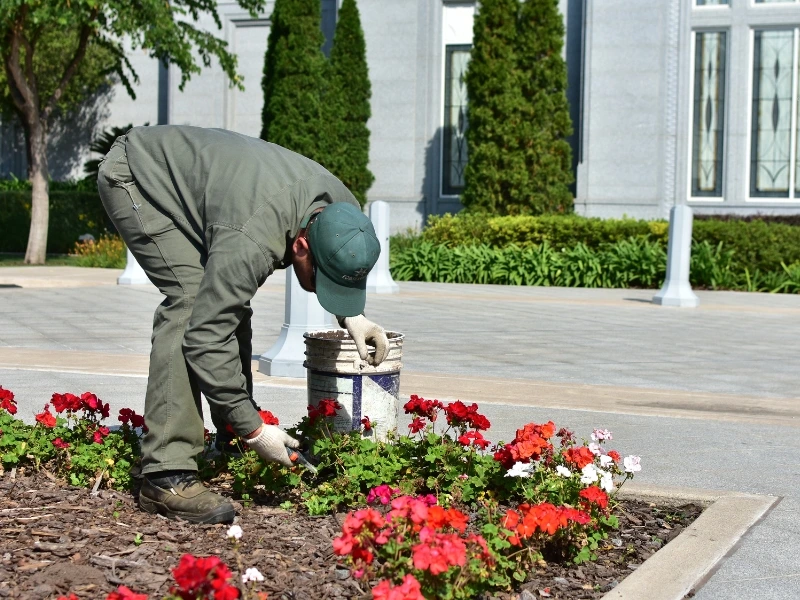 Ecoservice - mantenimiento de espacios verdes - tendencias 2026 (5)