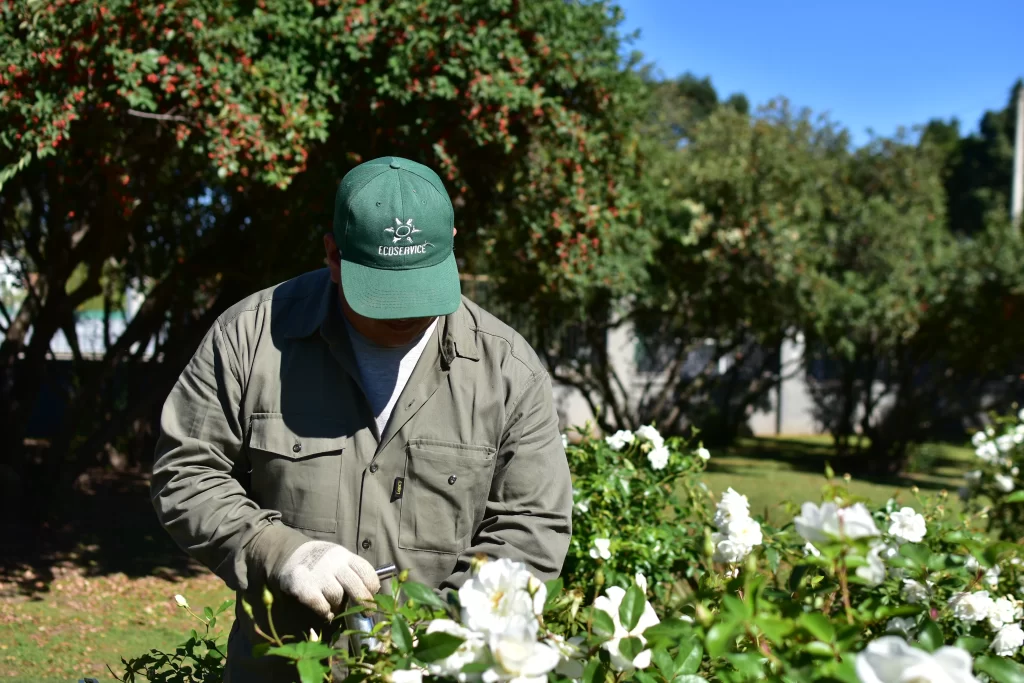 Ecoservice mantenimiento de espacios verdes empresa B certificada 1