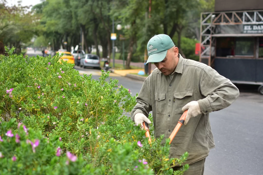 Ecoservice mantenimiento de espacios verdes empresa B certificada 2
