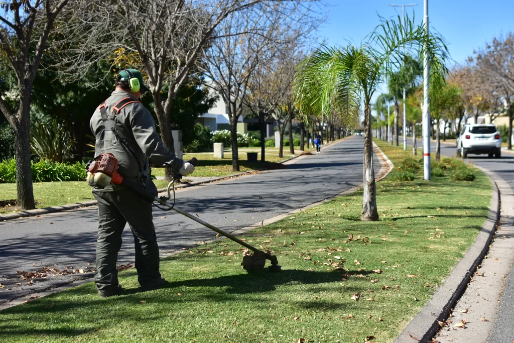 Ecoservice mantenimiento de espacios verdes empresa B certificada 4