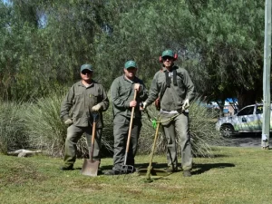 Ecoservice mantenimiento de espacios verdes empresa b certificada 10