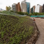 Ecoservice espacios verdes empresa B certificada nota infonegocios 5