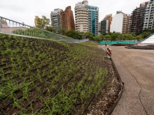 Ecoservice espacios verdes empresa B certificada nota infonegocios 5