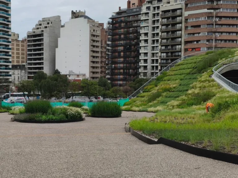 Ecoservice - Evento de cubiertas verdes 1